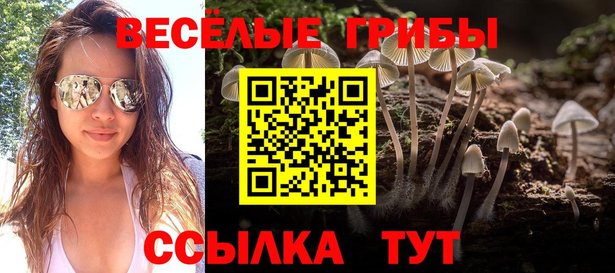Псилоцибиновые грибы GOLDEN TEACHER  Вход с VPN  Галлюциногенные грибы мухоморы  Стрежевой 